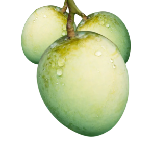 হাড়িভাঙ্গা আম